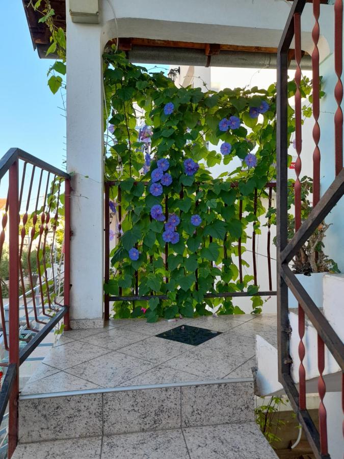 Eleni Apartment ติวัต ภายนอก รูปภาพ