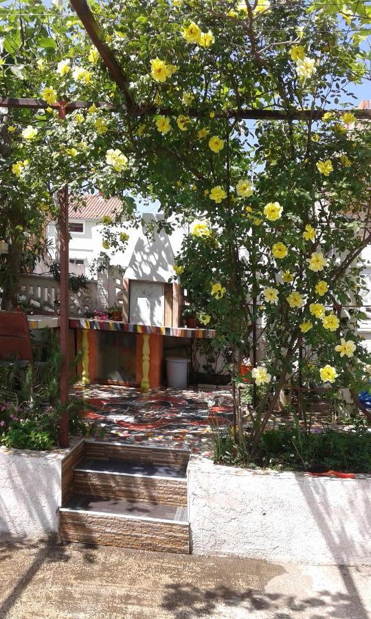 Eleni Apartment ติวัต ภายนอก รูปภาพ